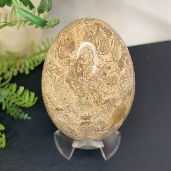 Beautiful brown, tan and cream colored MARBLE egg - Picture 5 of 10